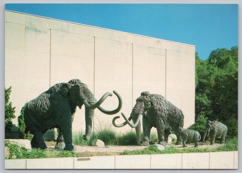 Sculture famiglia mammut lana - sculture,